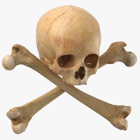 3D model Pirate Skull and Bones Composition 02
